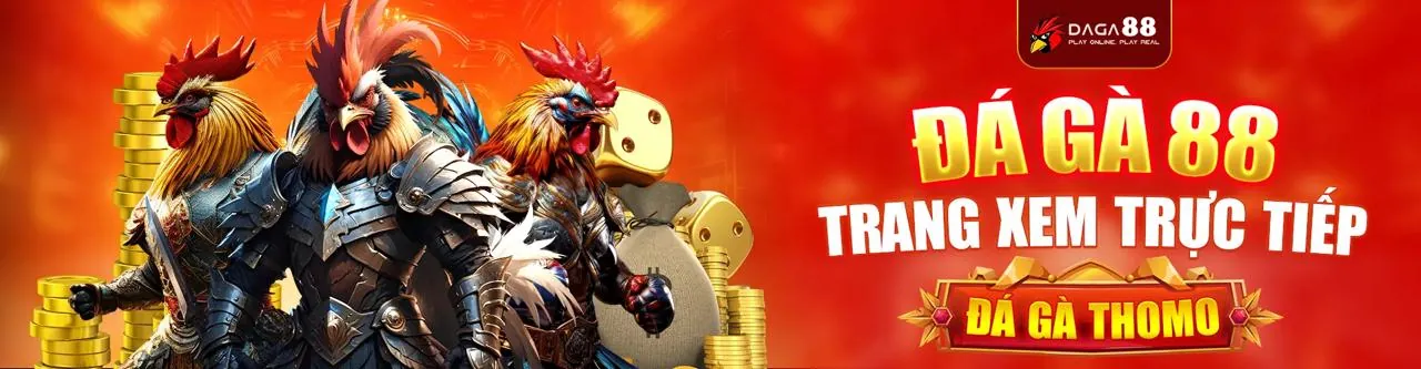 Sân đấu đá gà trực tuyến sôi động tại vn168 chính thức